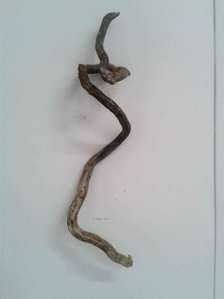 exposition vernissage bollene adp nuances chromatiques cours peinture artistes art culture