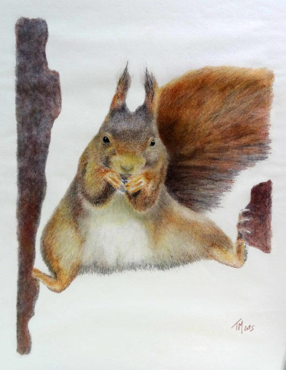 thierry mejean dessin art artiste peinture pastel