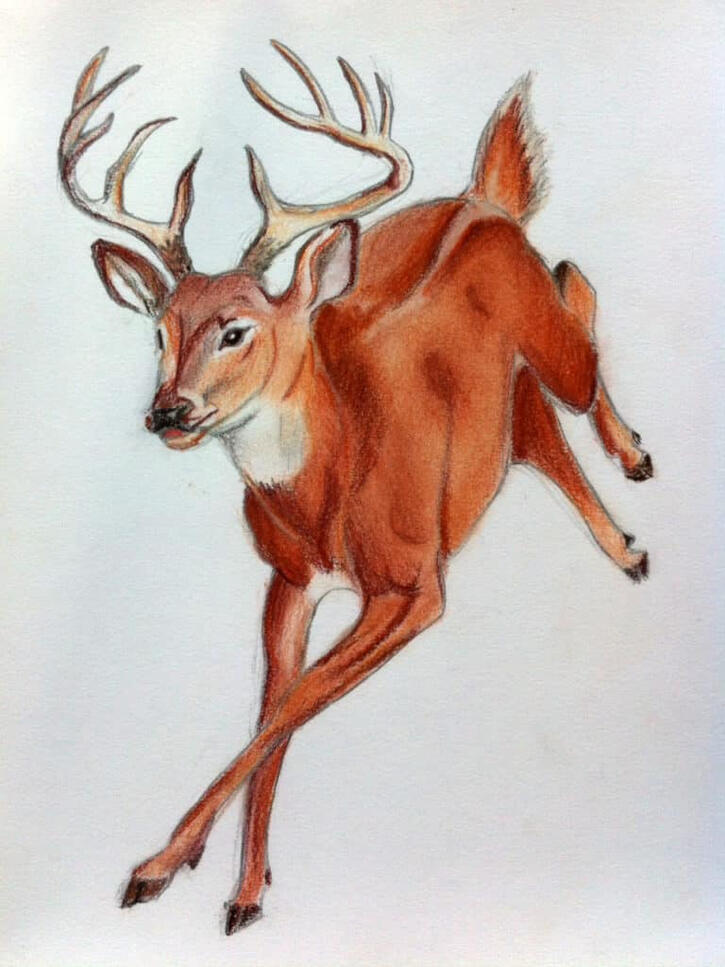 Margaux Zehnder art artiste dessin