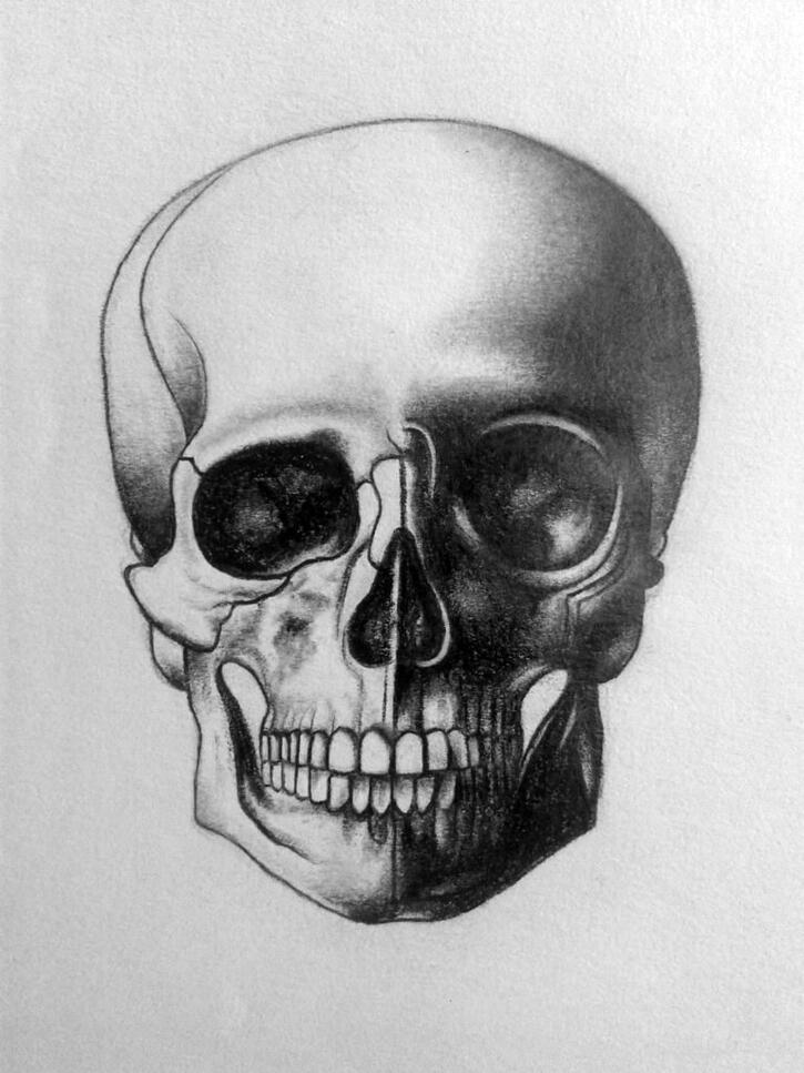 Chloé Légionnet art artiste dessin